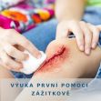 Firemní školení první pomoci - 1h